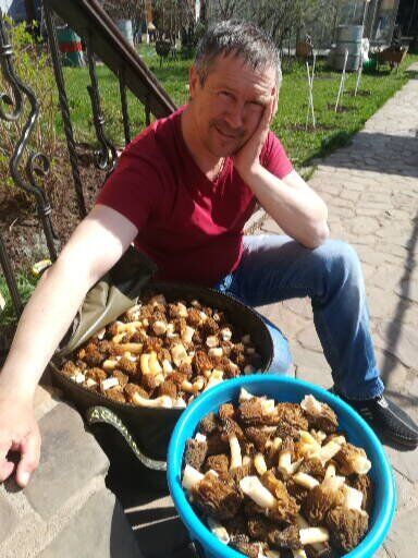 ���������� ���, ���� ������� �����, 55 ���, ������������ ��� ����� � ���������, c�������� ���������