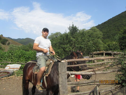  ,   Giorgi, 42 ,   