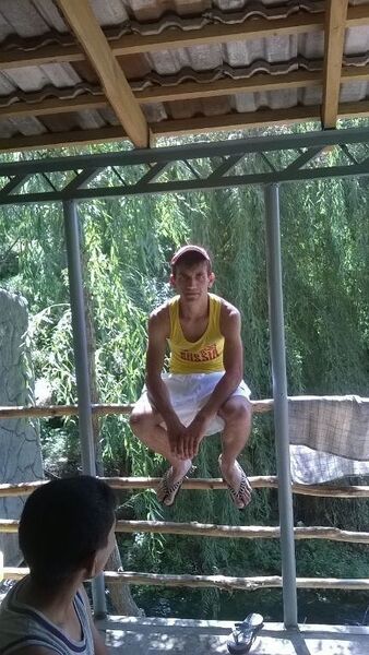  ,   Art, 32 ,   