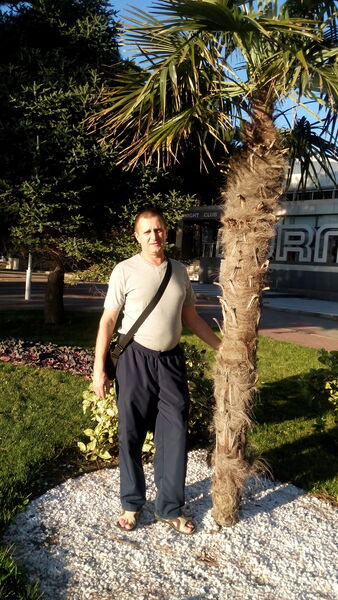  ,   , 58 ,   ,   