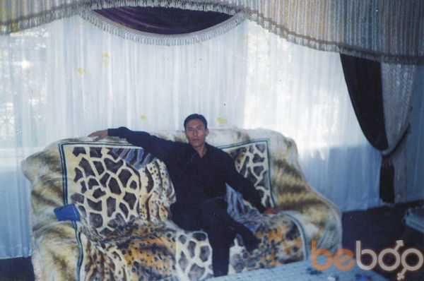  3380643  , 49 ,    -