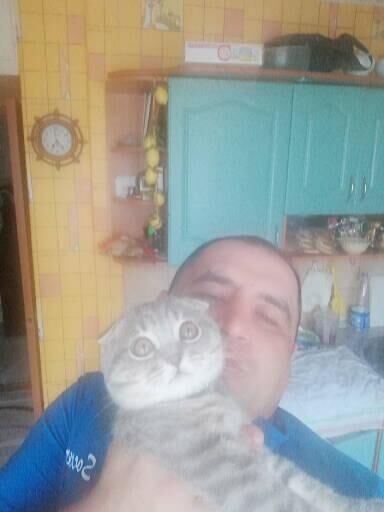  ,   , 43 ,   ,   , c 