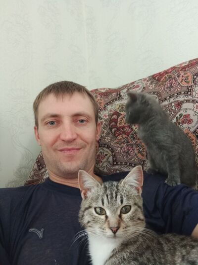  ,   , 38 ,     , c 
