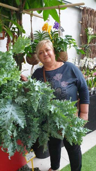  Dueville,   Valentina, 59 ,     , c 