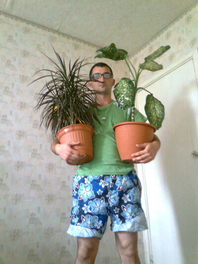  ,   Pashka, 39 ,   ,   , c 