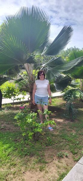  ,   , 62 ,     , c 