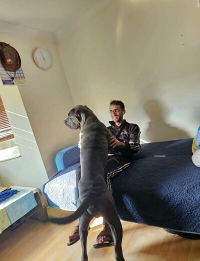  Norwood Green,   Sheikh, 30 ,     , c 