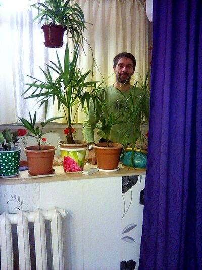  ,   , 51 ,   