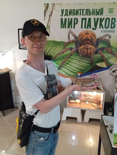  ,   , 46 ,   ,   , c , 