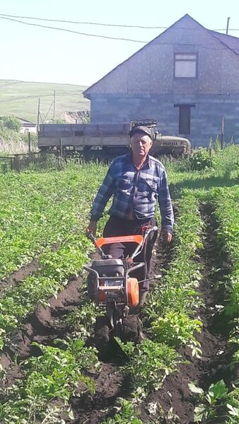  -,   , 68 ,   ,   , c 