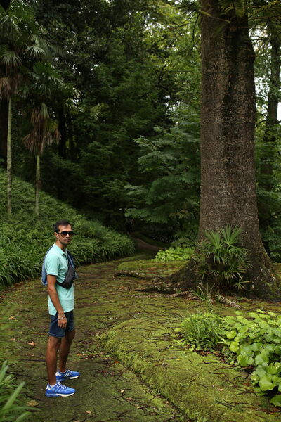  Tarragona,   Elvin, 38 ,   ,   , c , 