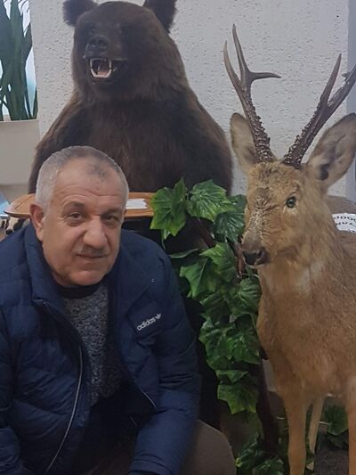  ,   , 53 ,   ,   