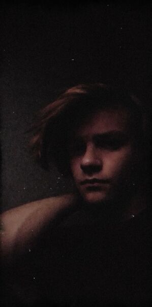  ,   , 20 ,  