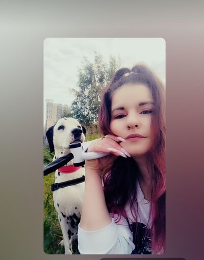  -,   ˸, 26 ,   ,   