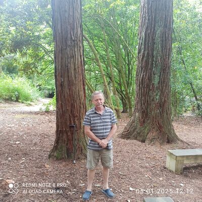  ,   , 55 ,   ,   