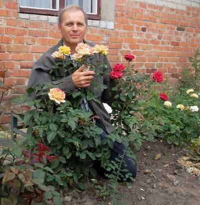  ,   , 65 ,   ,   