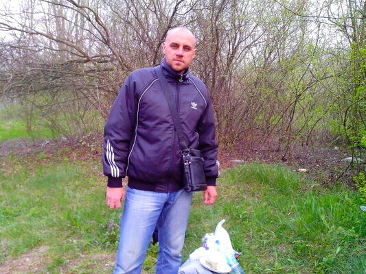  ,   , 41 ,  