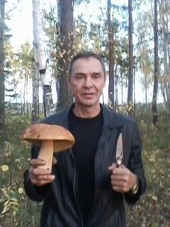  ,   , 65 ,   ,   , c 