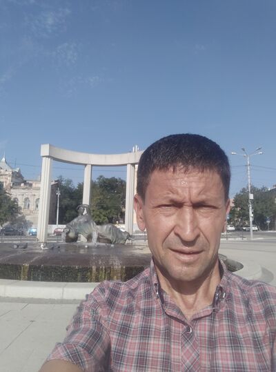  -,   , 49 ,   ,   