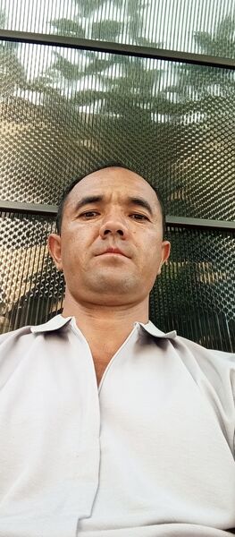  ,   Doni, 33 ,   ,   