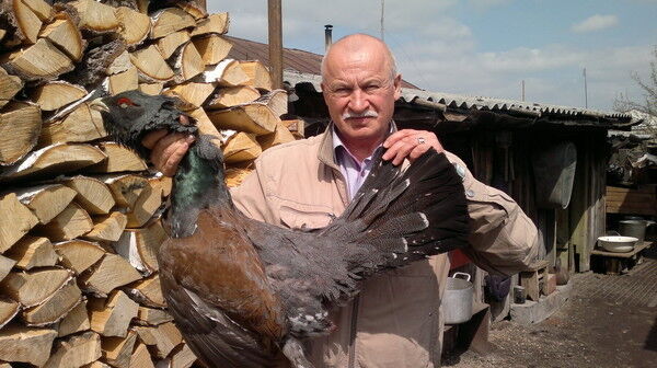 ���������� ���������, ���� ����� ��������, 25 ���, ������������ 