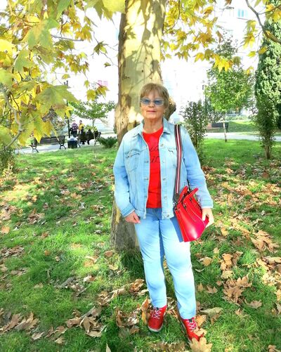  ,   , 52 ,  
