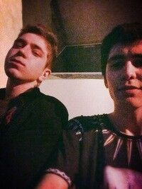  4401253  Arsen_ts, 40 ,    