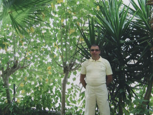  ,   , 55 ,  