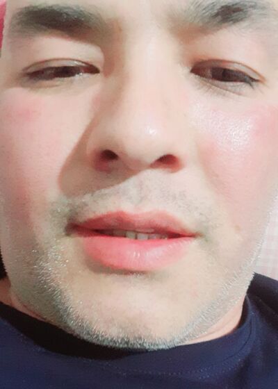   ,   VIvO, 43 ,   ,   