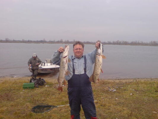 ,   Alexey, 51 ,   