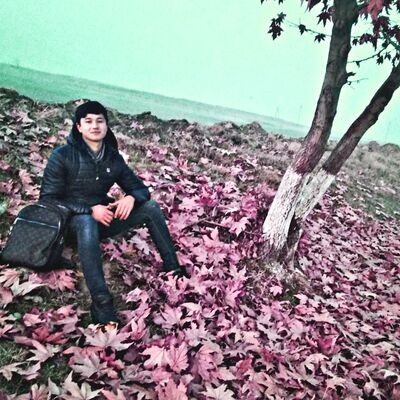  ,   Umidjon, 24 ,   ,   , c 