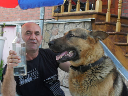 ���������� �����-���������, ���� ������� �����, 63 ����, ������������ ��� ����� � ���������, c�������� ���������