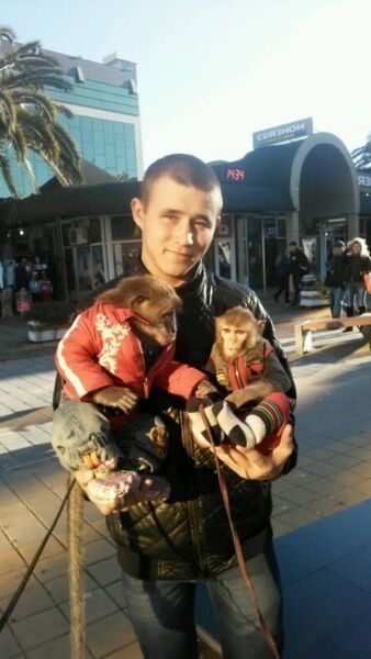  -,   , 30 ,   ,   , c 