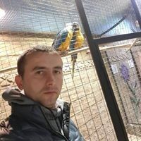  ,   MirZa, 37 ,   ,   , c 