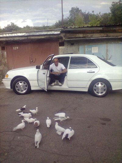  ,   Afo, 61 ,   ,   