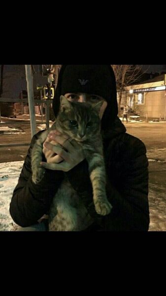 ,   Mahmudov, 24 ,   ,   
