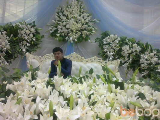  ,   Gersan, 36 ,     , c 