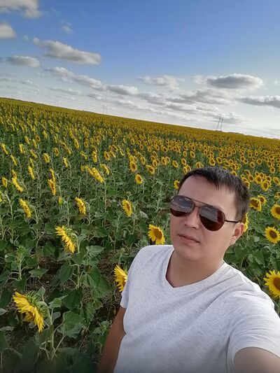  ,   , 38 ,   ,   