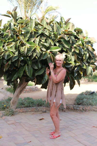  ,   Nata, 67 ,   ,   , c 