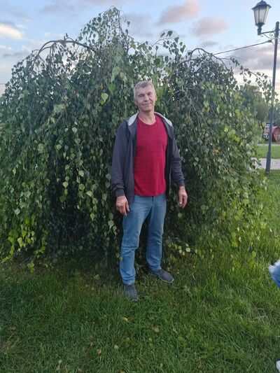  -,   , 52 ,   ,   