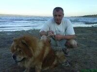  ,   C, 54 ,  