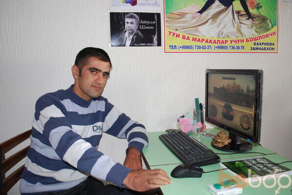  ,   ZiDan, 44 ,   ,   , c 