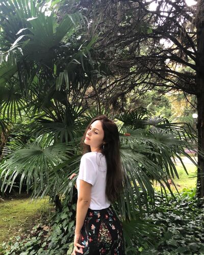  ,   , 29 ,     , c 