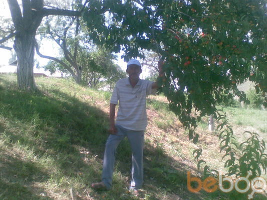  -,   Bek, 50 ,   