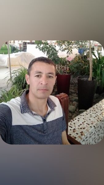  ,   Zubayir, 42 ,   ,   