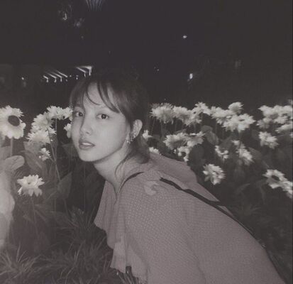 -,   , 25 ,   ,   , c 