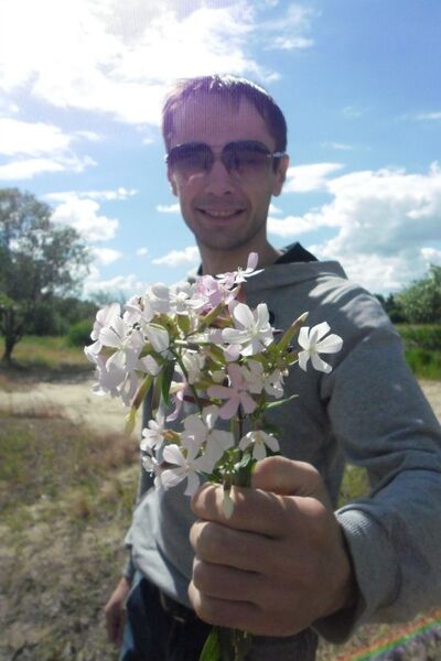  ,   , 41 ,   