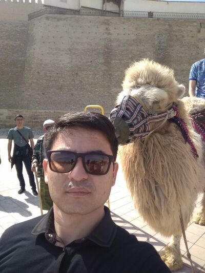  ,   ARSLAN, 34 ,   ,   , c 