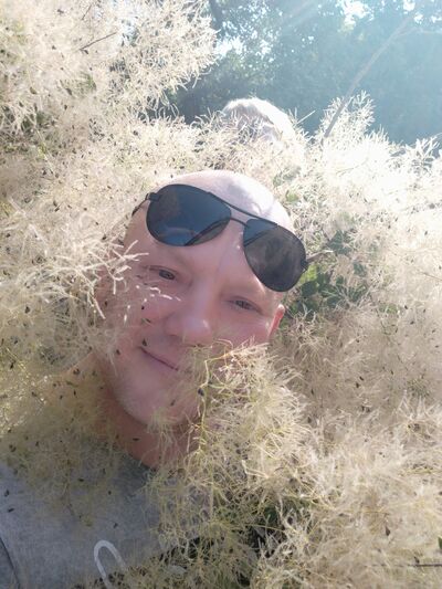  ,   , 44 ,   ,   