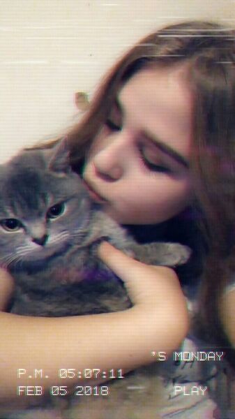  ,    , 26 ,   ,   , c 